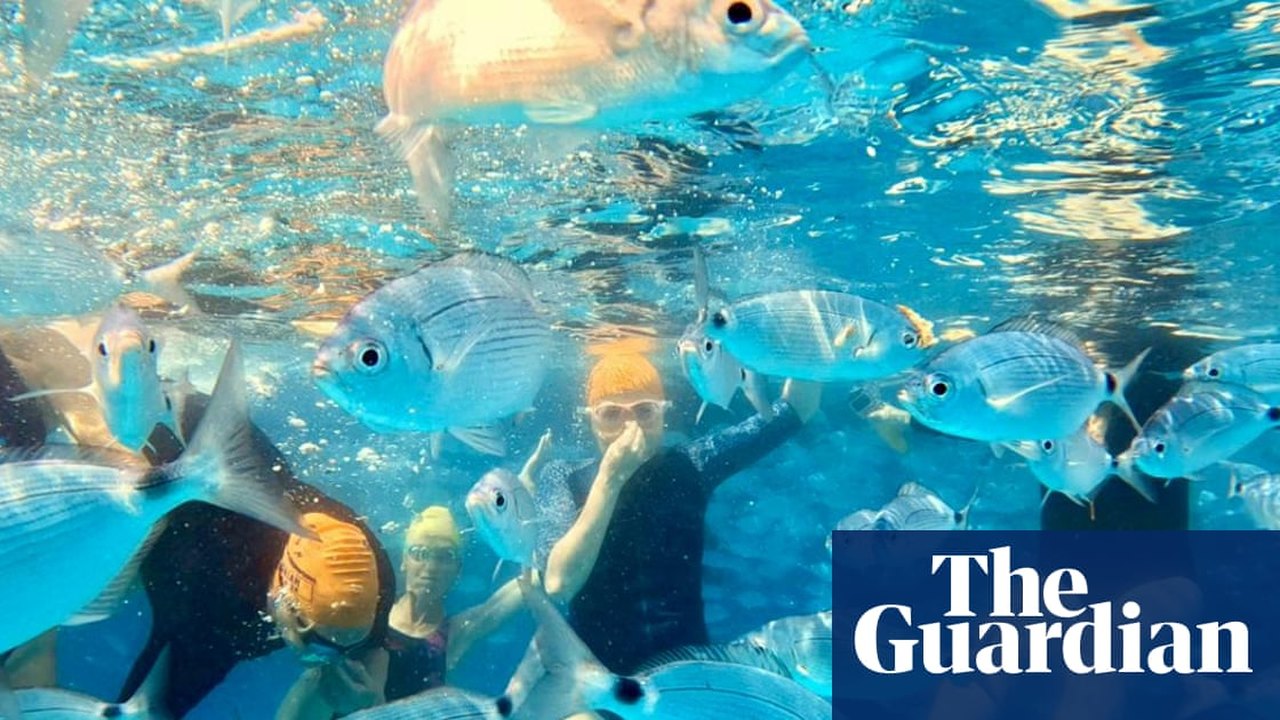 Finding Connection and Mental Respite Through Open-Water Swimming — article featured image