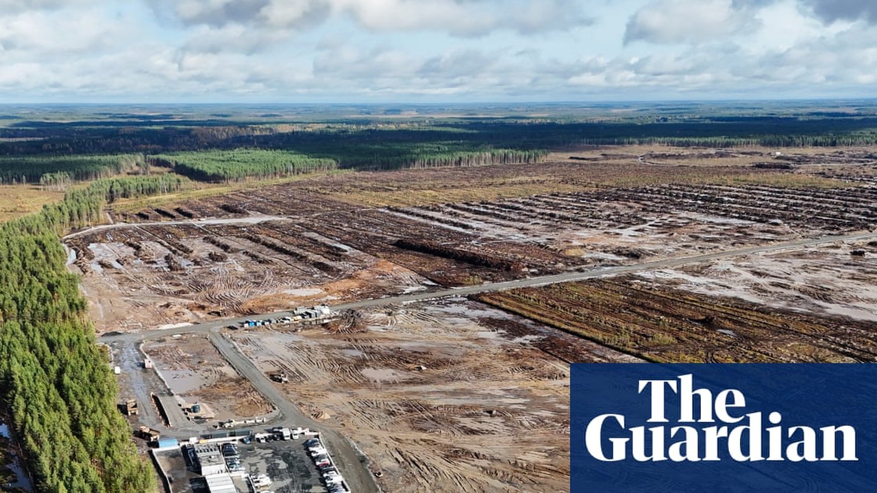 फिनलैंड में Google के डेटासेंटर प्रोजेक्ट पर आपराधिक जांच शुरू, पर्यावरण नियमों के उल्लंघन का आरोप