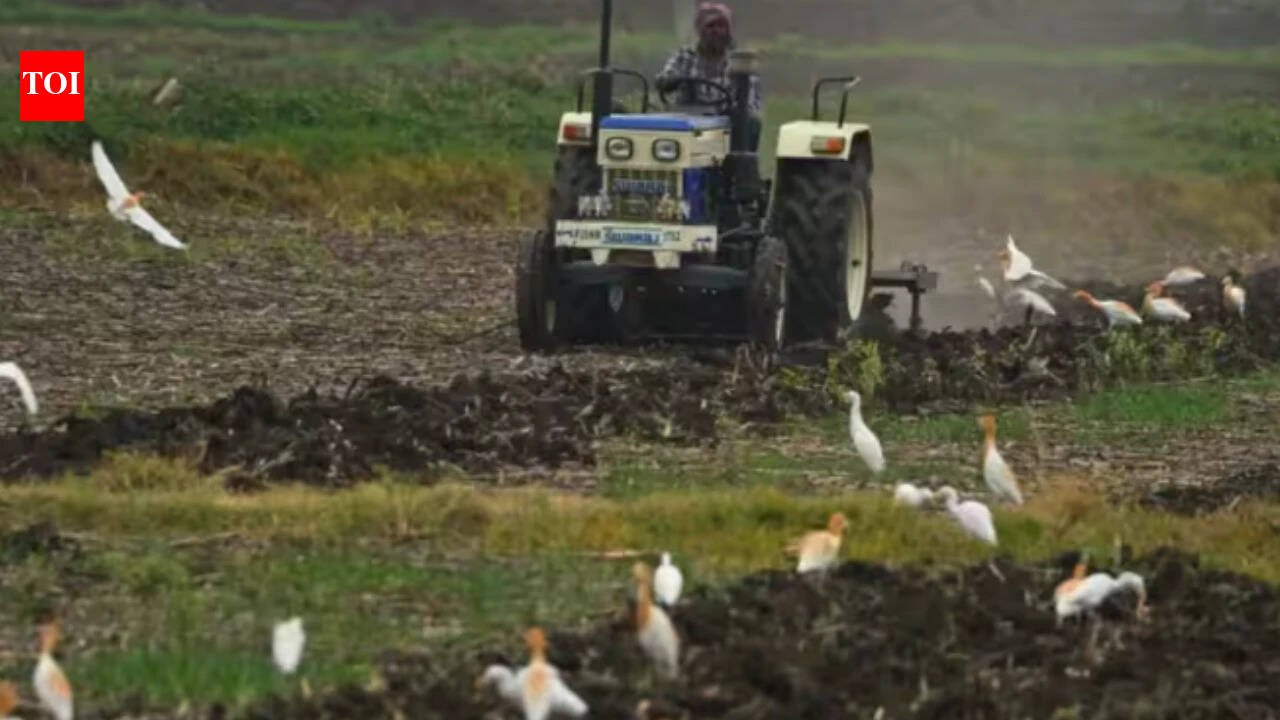 Understanding the Uttar Pradesh Agricultural Input Subsidy Schemes — article featured image