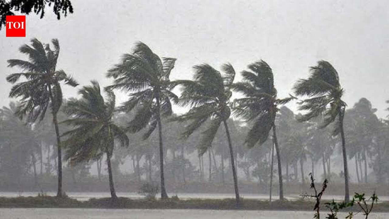 Cyclone Arnab: तमिलनाडु के कई जिलों, पुड्डुचेरी और कराईकल में 26 अक्टूबर को स्कूल बंद